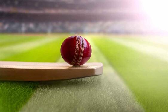 Play Cricket online in india