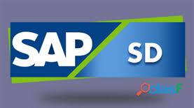 SAP SD TRAINING IN LUCKNOW