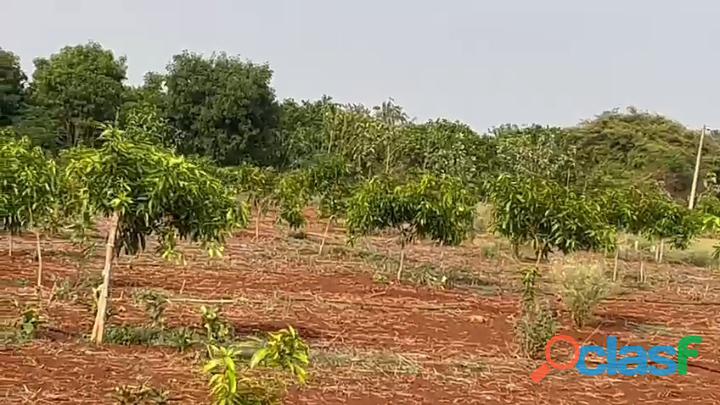 Agricultural land for sale at Manneguda