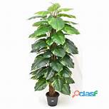 Philo Real Touch Artificial Plant Wholesaler from Delhi