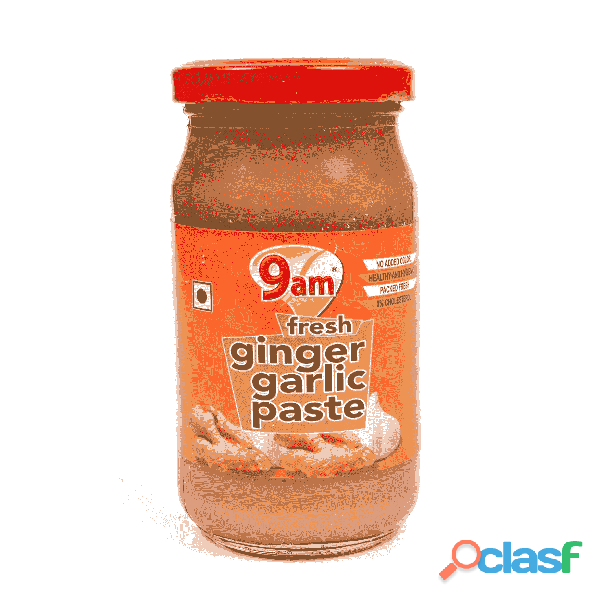 Ginger Garlic Paste Manufacturers in India