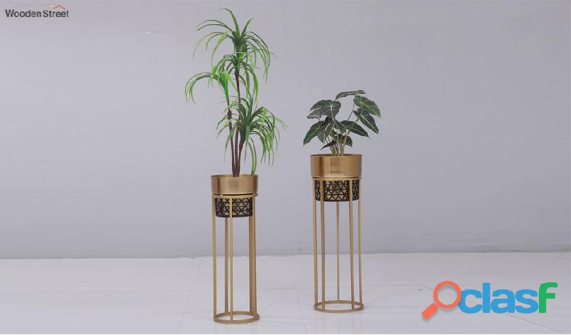 Buy indoor planters in India at Wooden Street