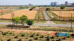 Highly Demand For Authority Plots in Noida