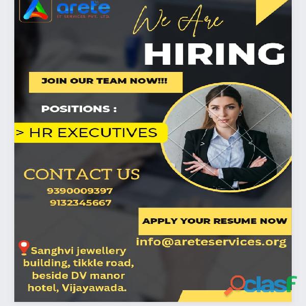 Hiring for HR executives and software developers