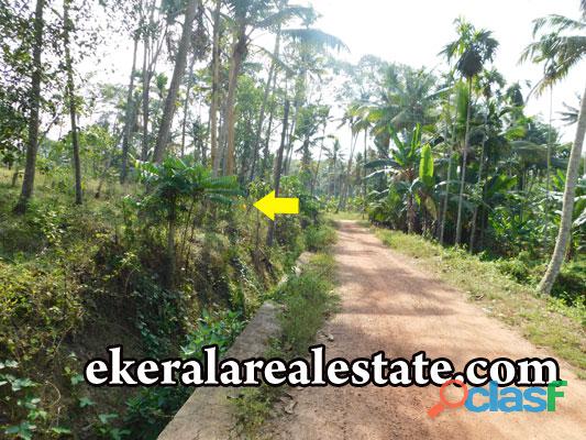 Land For Sale at Kulappada Nedumangad