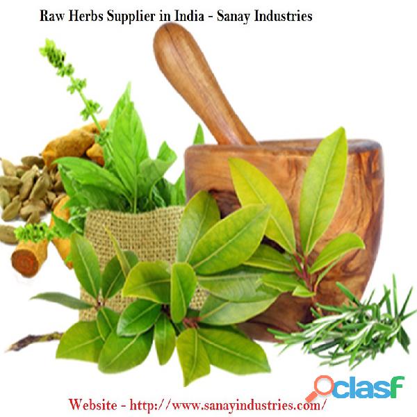 Raw Herbs Supplier in India