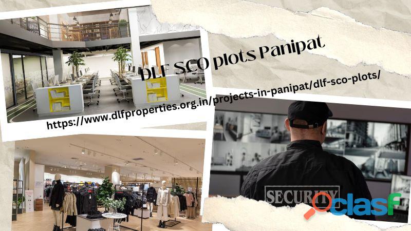DLF SCO plots Panipat : Flexible Office or Shop Plot