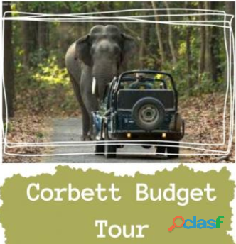 Jim Corbett Packages | Best Jim Corbett Tour Packages