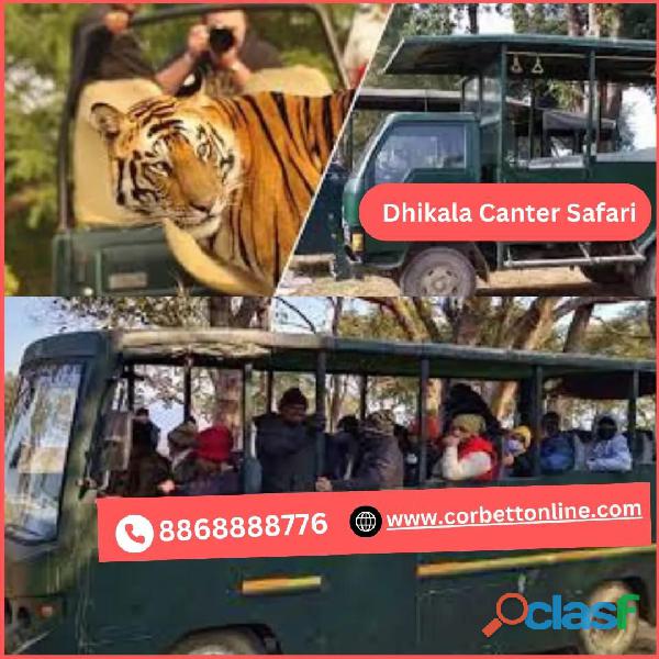 Unveiling the wonder of Dhikala Canter Safari