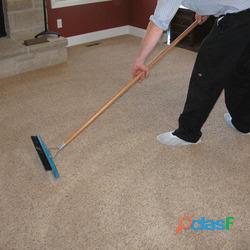 Sydney Clean Living Your Local Carpet Cleaning Experts in