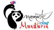 Mandarin Language Online Course